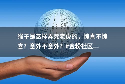 猴子是这样弄死老虎的，惊喜不惊喜？意外不意外？#金粉社区#