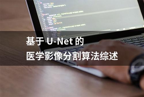 基于 U-Net 的医学影像分割算法综述