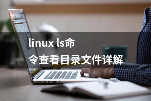 linux ls命令查看目录文件详解