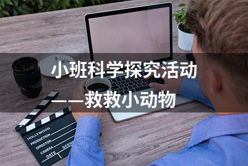 小班科学探究活动——救救小动物