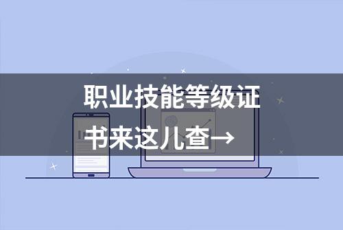 职业技能等级证书来这儿查→