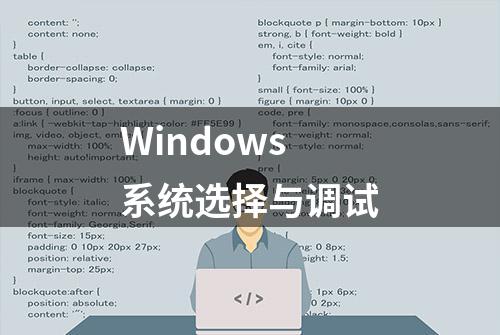 Windows系统选择与调试