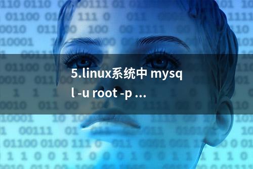 5.linux系统中 mysql -u root -p 并且录入密码报错