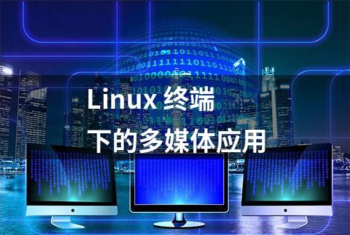 Linux 终端下的多媒体应用