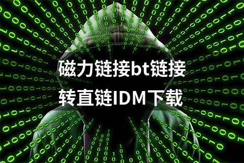 磁力链接bt链接转直链IDM下载