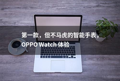 第一款，但不马虎的智能手表，OPPO Watch 体验