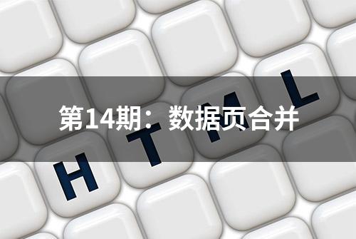 第14期：数据页合并