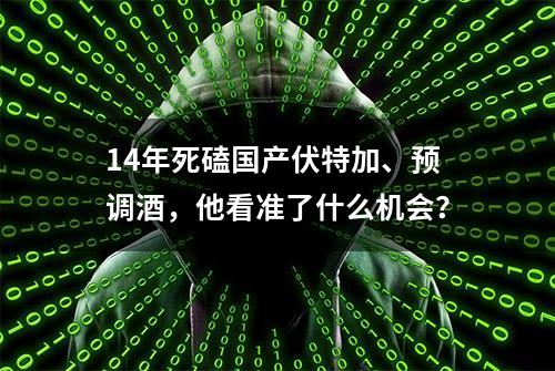 14年死磕国产伏特加、预调酒，他看准了什么机会？