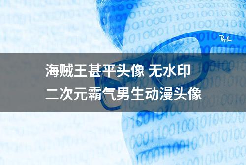 海贼王甚平头像 无水印二次元霸气男生动漫头像