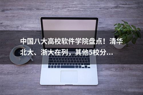 中国八大高校软件学院盘点！清华北大、浙大在列，其他5校分析