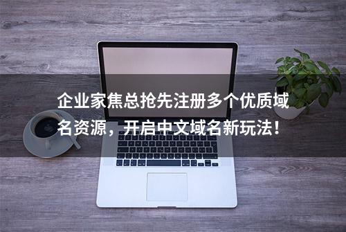 企业家焦总抢先注册多个优质域名资源，开启中文域名新玩法！