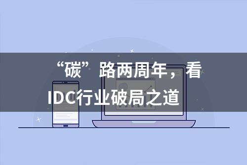 “碳”路两周年，看IDC行业破局之道