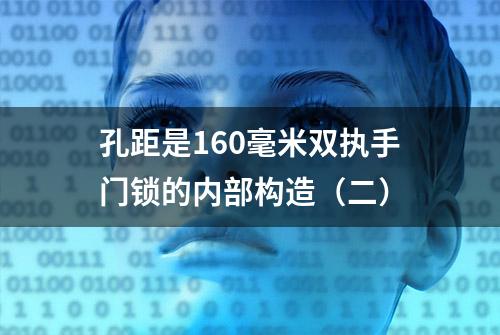 孔距是160毫米双执手门锁的内部构造（二）