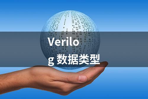 Verilog 数据类型