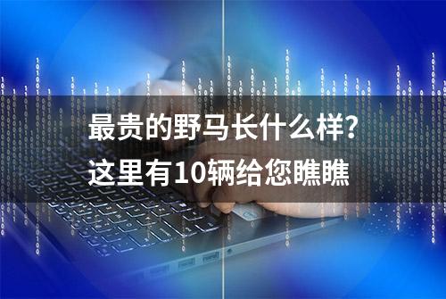 最贵的野马长什么样？这里有10辆给您瞧瞧