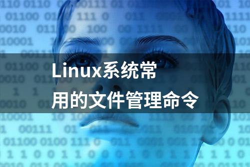 Linux系统常用的文件管理命令