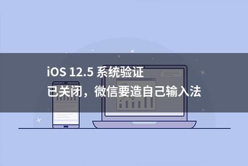 iOS 12.5 系统验证已关闭，微信要造自己输入法