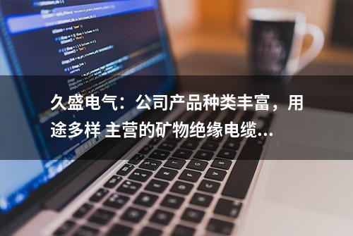 久盛电气：公司产品种类丰富，用途多样 主营的矿物绝缘电缆，主要用于消防要求比较高的场合