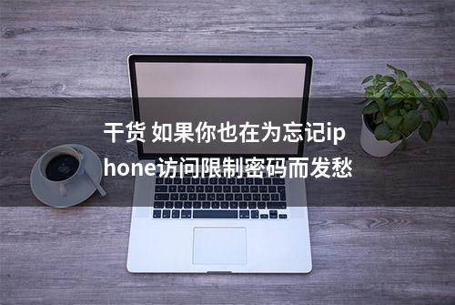 干货 如果你也在为忘记iphone访问限制密码而发愁