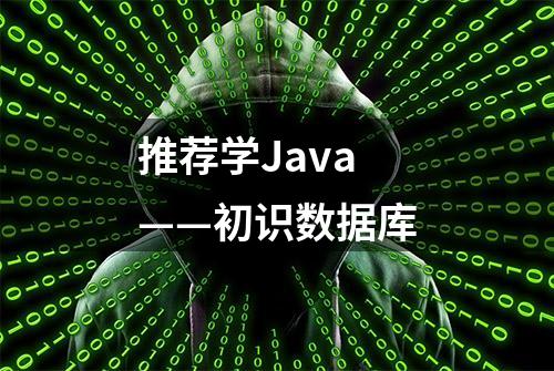 推荐学Java——初识数据库