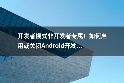 开发者模式非开发者专属！如何启用或关闭Android开发者模式