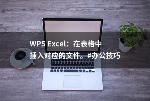 WPS Excel：在表格中插入对应的文件。#办公技巧