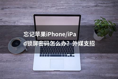 忘记苹果iPhone/iPad锁屏密码怎么办？外媒支招