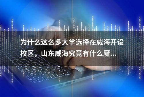 为什么这么多大学选择在威海开设校区，山东威海究竟有什么魔力