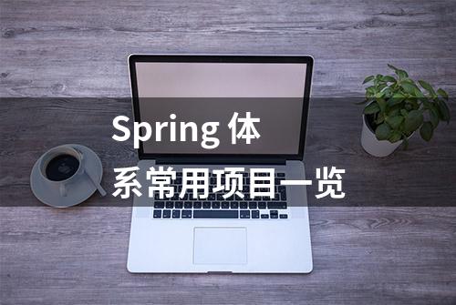 Spring 体系常用项目一览