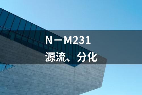 N－M231源流、分化