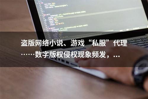 盗版网络小说、游戏“私服”代理……数字版权侵权现象频发，司法保护如何破局？