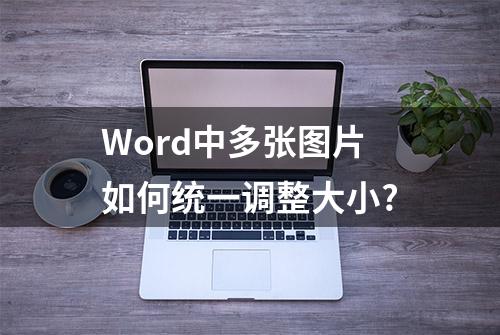 Word中多张图片如何统一调整大小?