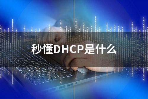 秒懂DHCP是什么