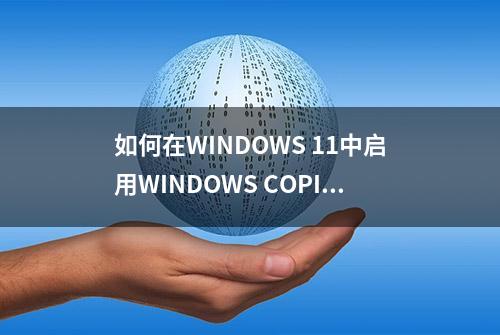 如何在WINDOWS 11中启用WINDOWS COPILOT