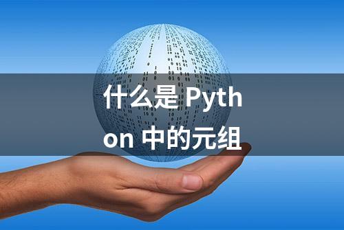 什么是 Python 中的元组