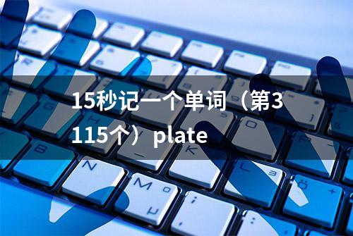 15秒记一个单词（第3115个）plate