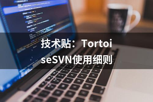 技术贴：TortoiseSVN使用细则