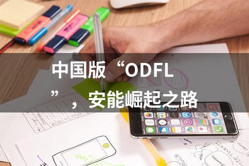 中国版“ODFL”，安能崛起之路