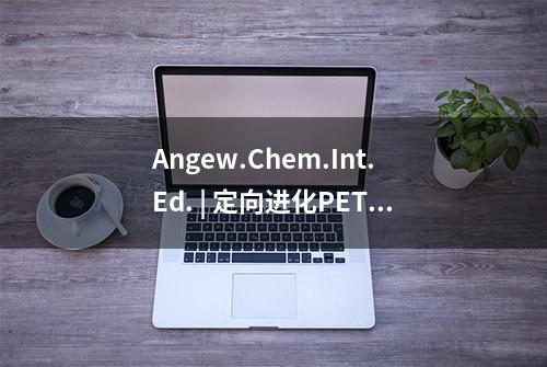 Angew.Chem.Int.Ed. | 定向进化PET解聚酶以促进对塑料废弃物的完全降解