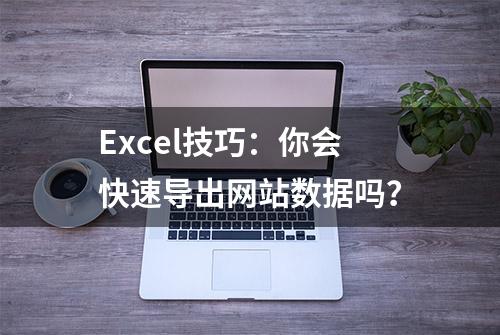 Excel技巧：你会快速导出网站数据吗？