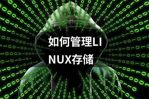 如何管理LINUX存储