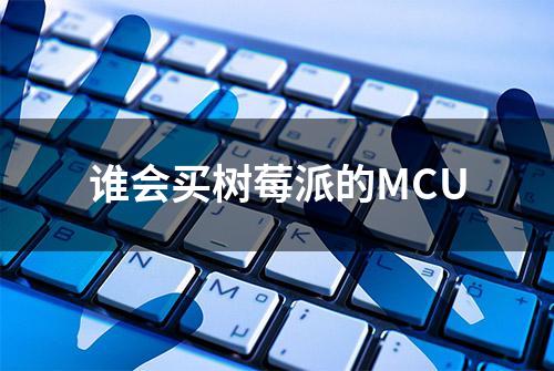 谁会买树莓派的MCU