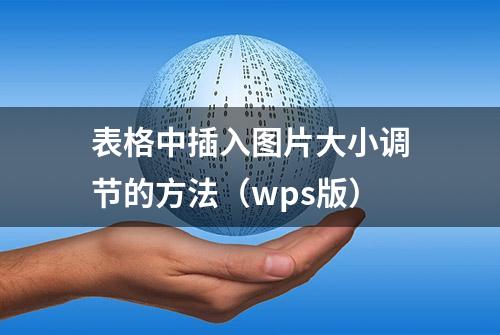 表格中插入图片大小调节的方法（wps版）