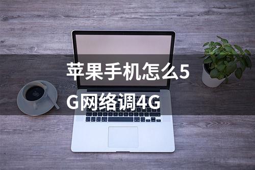 苹果手机怎么5G网络调4G