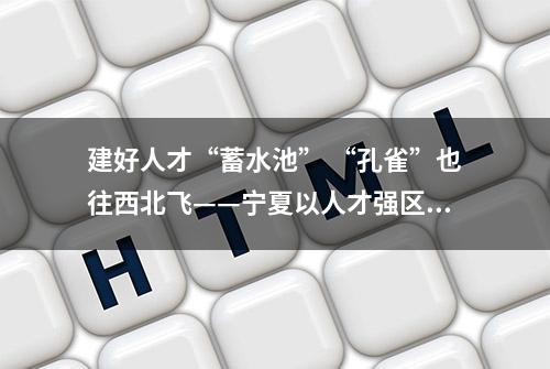 建好人才“蓄水池” “孔雀”也往西北飞——宁夏以人才强区支撑经济社会高质量发展