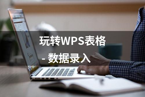 玩转WPS表格 - 数据录入