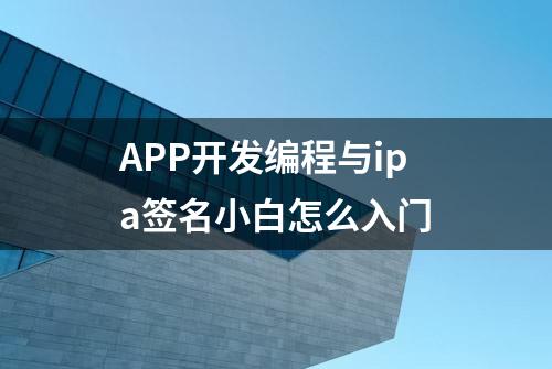 APP开发编程与ipa签名小白怎么入门