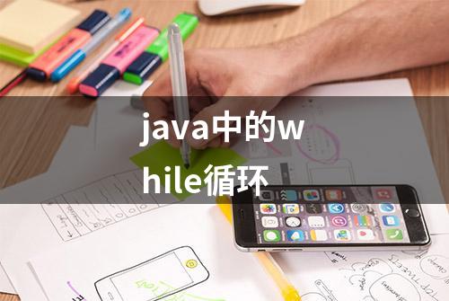 java中的while循环