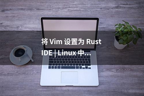 将 Vim 设置为 Rust IDE | Linux 中国