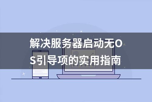 解决服务器启动无OS引导项的实用指南